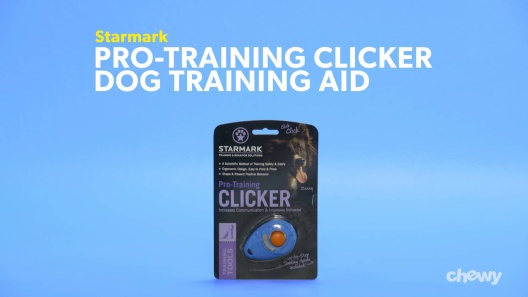 Play Video: Learn More About Starmark From Our Team of Experts