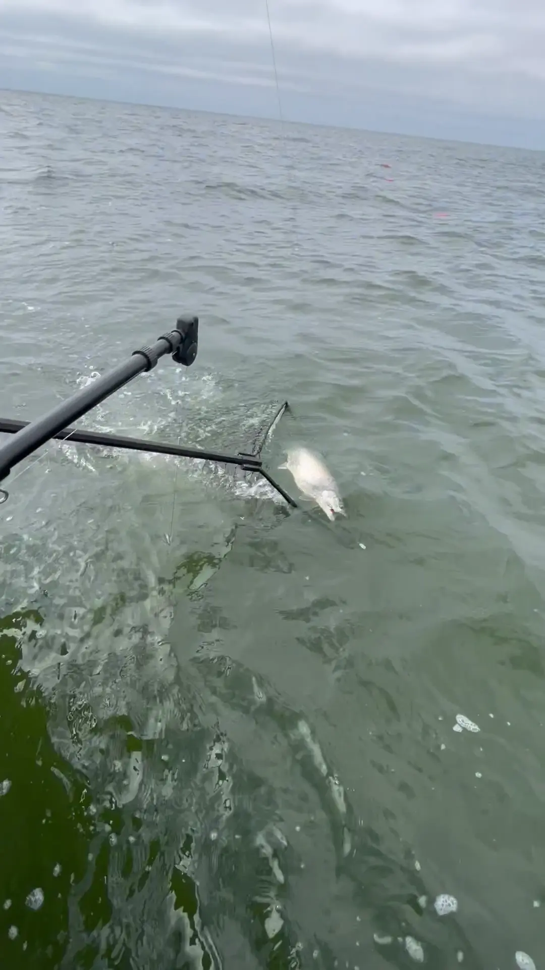 Business Card: ReelMaster Charters