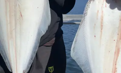 Sooke Видео отчет 0