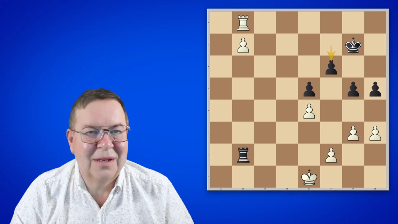 Chess Endgames, Volume 2: Minor Piece by Viktor, Alan