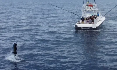 San Carlos Report Video 0