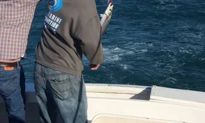 Carolina Beach Report Video 0