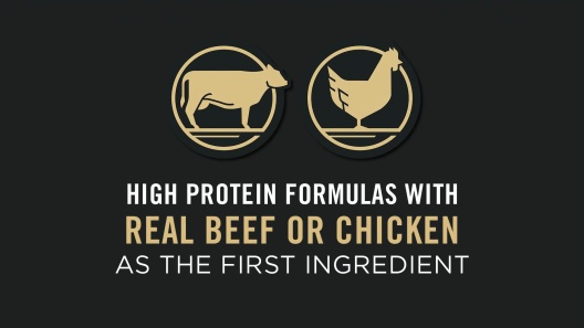 Purina Pro Plan Adult Large Breed Chicken & Rice Formula Dry Dog Food