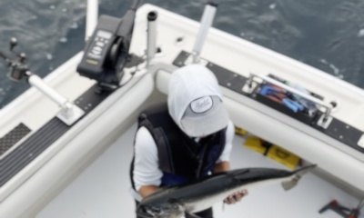 Fishing with Art