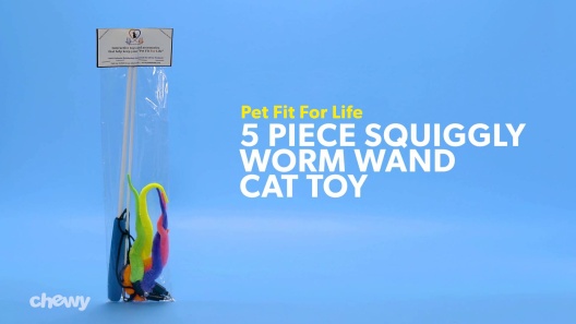 PET FIT FOR LIFE 5 Piece Squiggly Worm Wand Cat Toy 