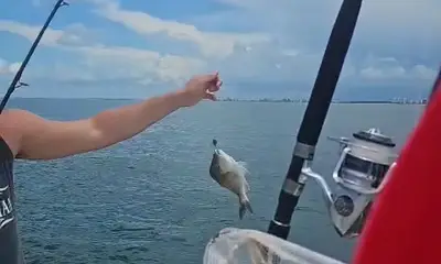 He knows where fish are