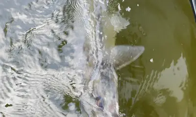 West Palm Beach Report Video 0