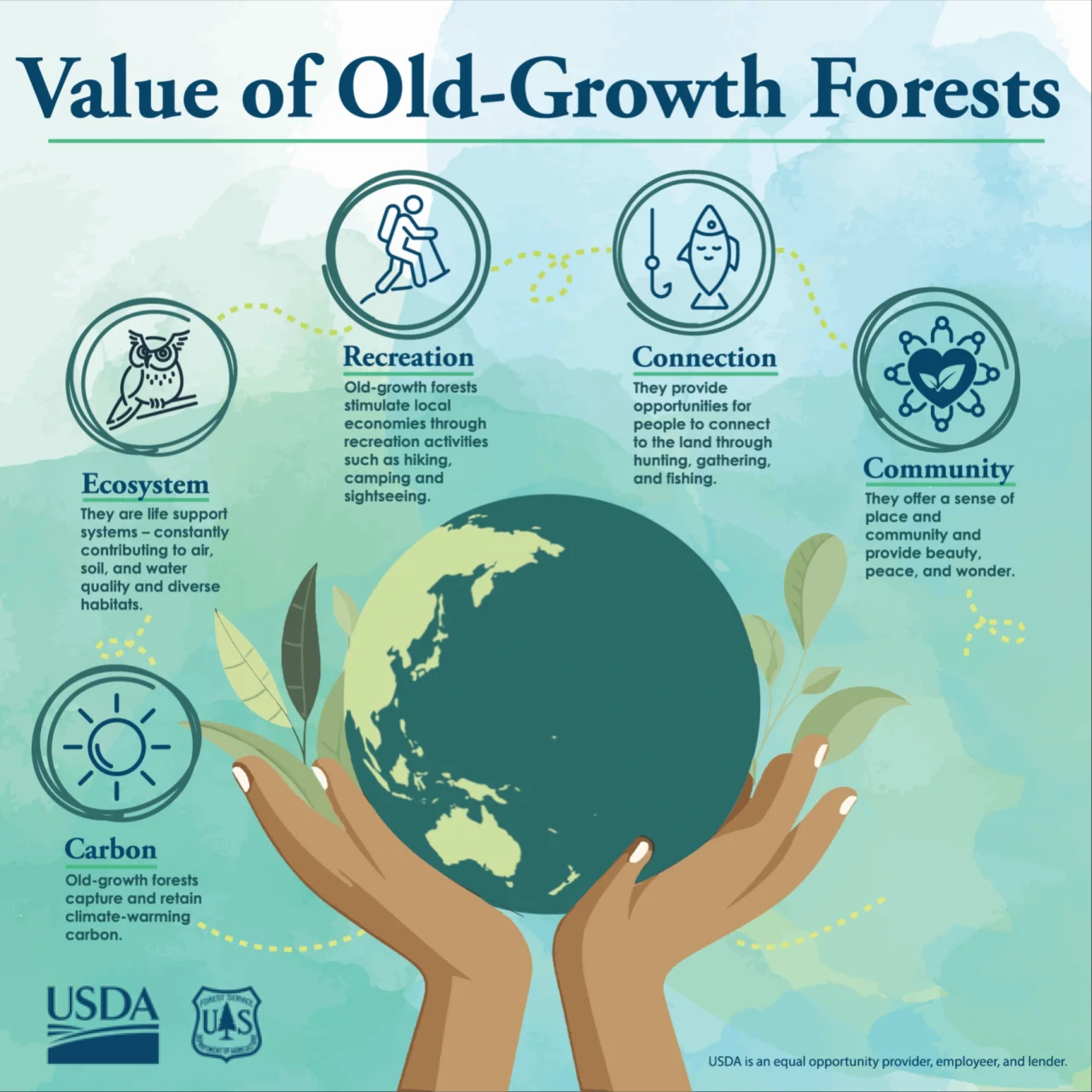 Mature Old Growth Infographic