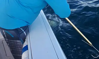 Panama City Report Video 1