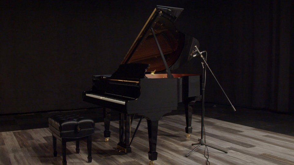 2020 Steinway Grand M Spirio Player