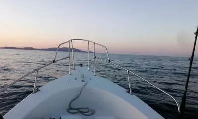 La Paz Report Video 1