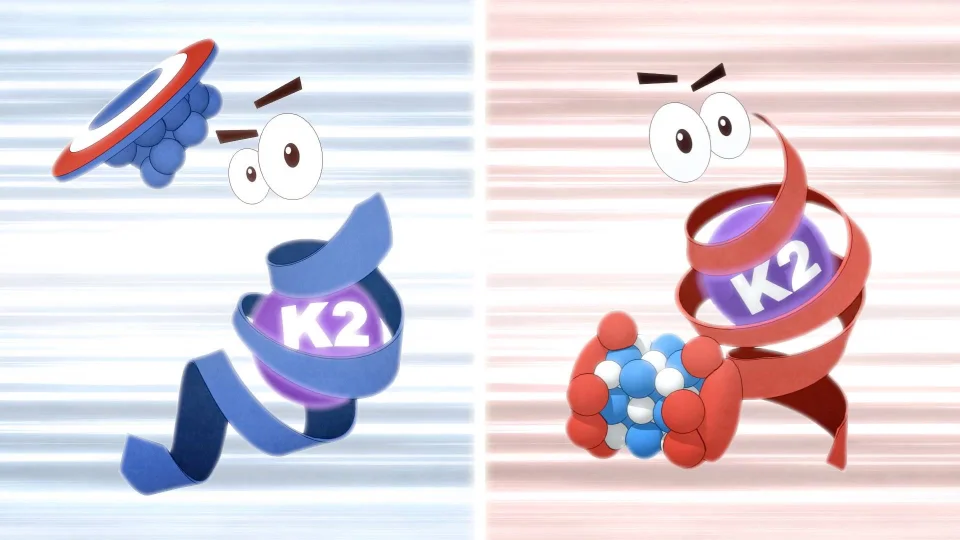 K-FORCE - Vitamin D with K2 Supplement | Ortho Molecular Products