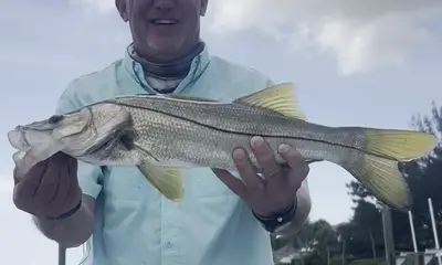 Jupiter Inlet Report Video 1