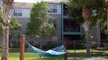 West Gainesville Video