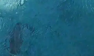 Playa Del Carmen Verslag Video 0