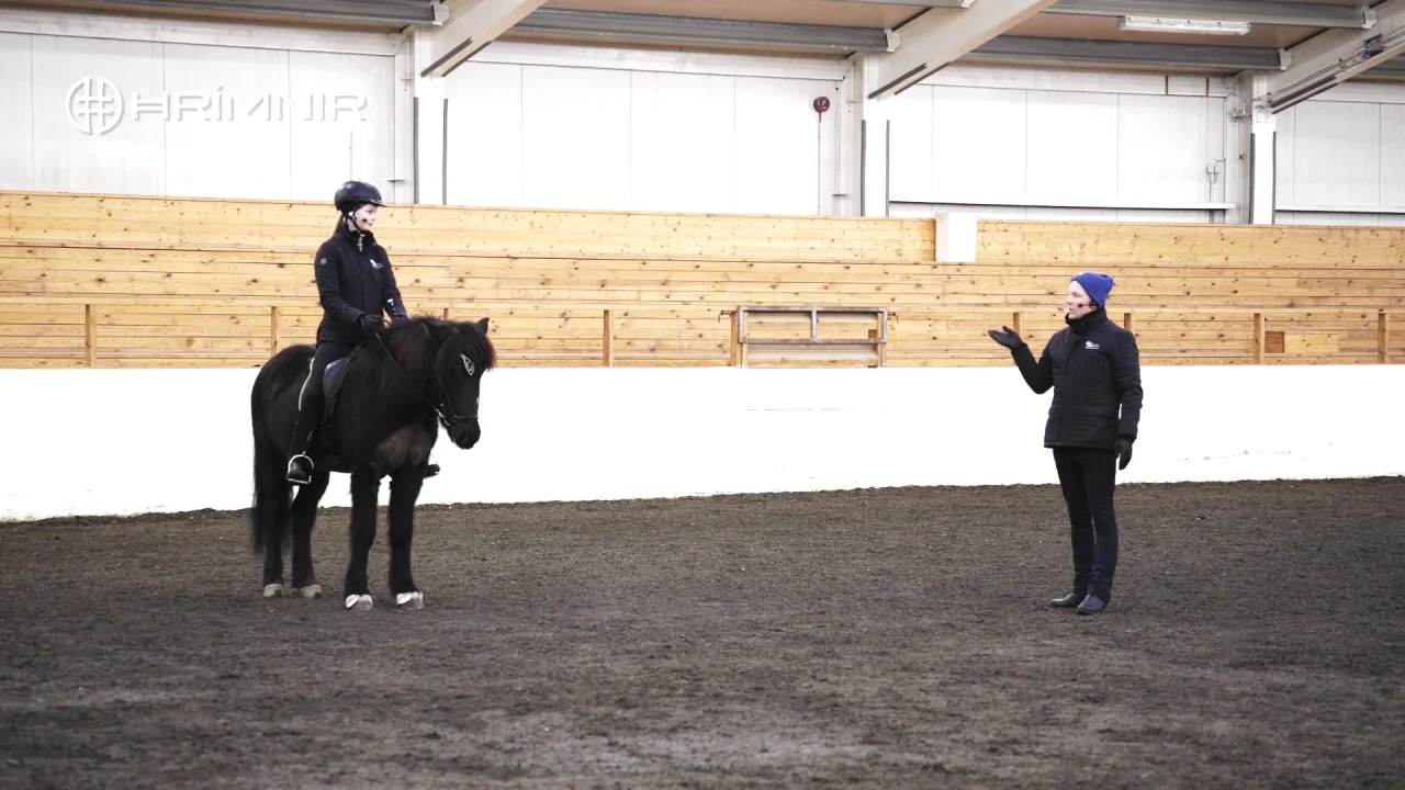 Women's pacy clearance ii equestrian