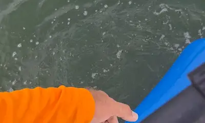 San Antonio Report Video 1