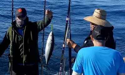 Ensenada Report Video 0