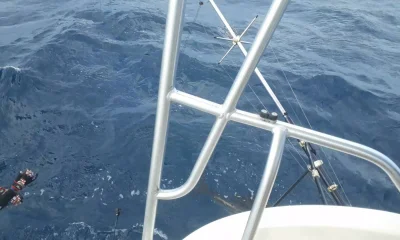 Cancún Report Video 0