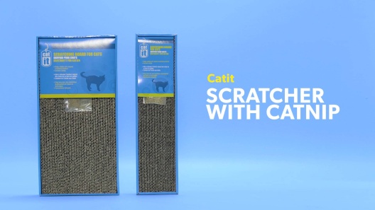 Play Video: Learn More About Catit From Our Team of Experts