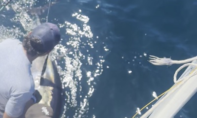 Amazing Bluefin Trip