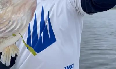 Caught fish until my back hurt!