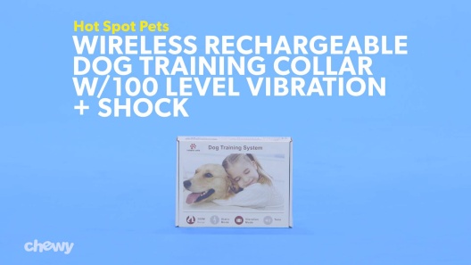 Play Video: Learn More About Hot Spot Pets From Our Team of Experts
