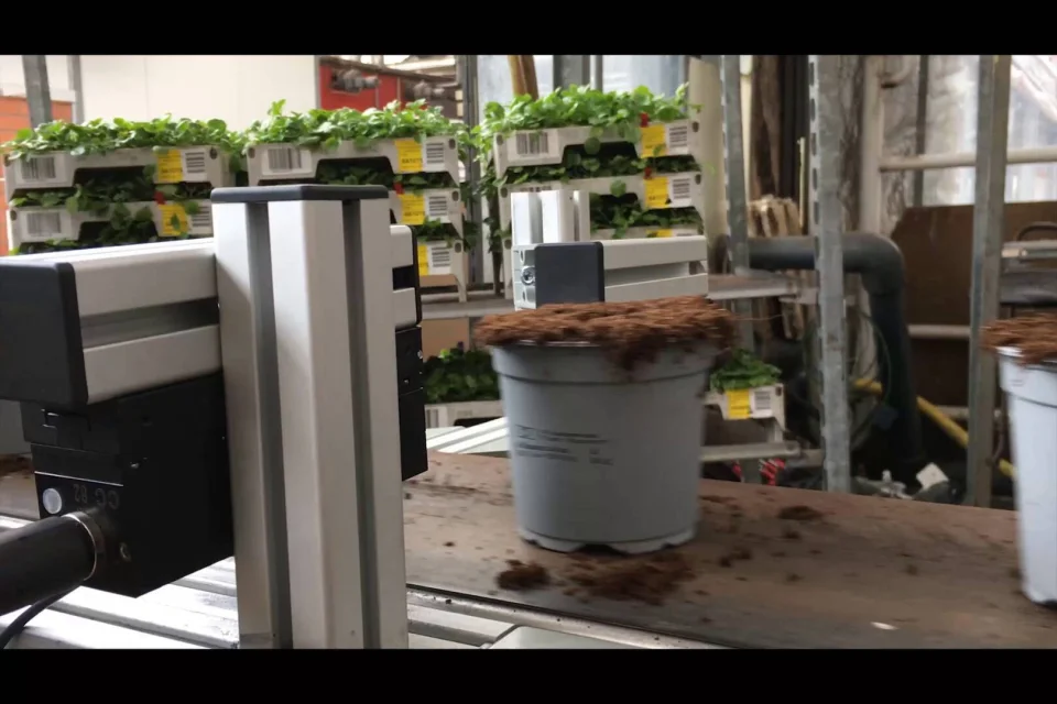 Plant Passport Printing Velmans Koening Bauer Coding