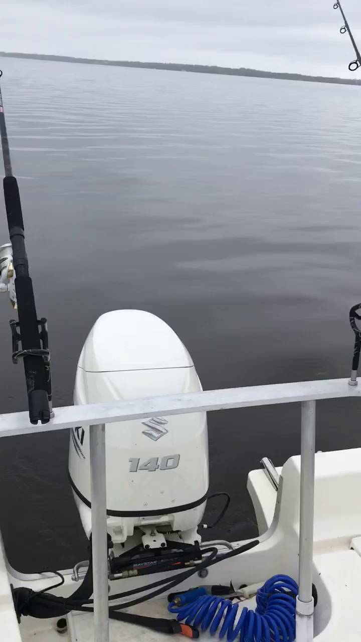 Catfish! Catfish! Catfish! Edenton Fishing Report FishingBooker