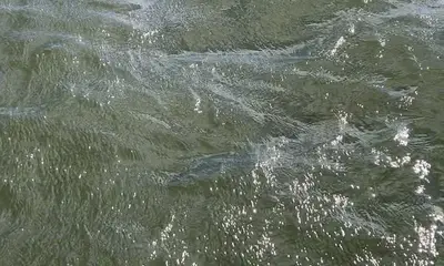 Man what a fight. Epic dayz  