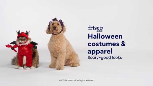 Frisco Beauty Parlor Dog & Cat Costume Accessory