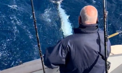 Calheta Report Video 0
