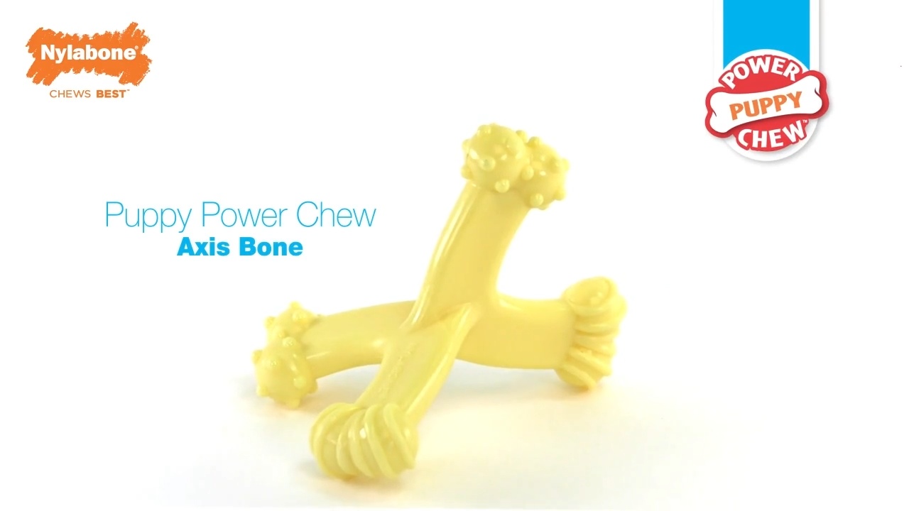 nylabone dura chew axis bone