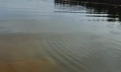 Atlanta Report Video 0