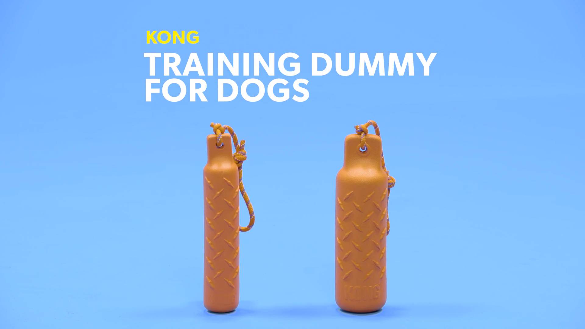 kong dummy for dogs