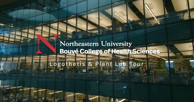 School of Pharmacy and Pharmaceutical Sciences - Bouvé College of Health  Sciences