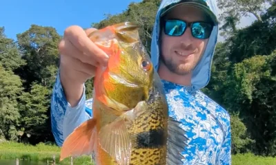 Gamboa Report Video 1