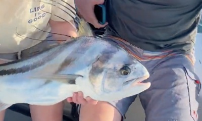 Cabo San Lucas Report Video 0