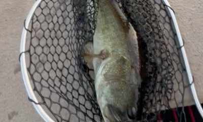 Kissimmee Report Video 0
