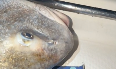 Port Canaveral Report Video 0