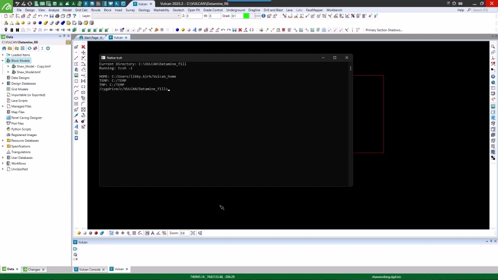 Maptek - How to replace missing block model blocks with bfill.exe