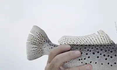 Great Winter Fishing !!