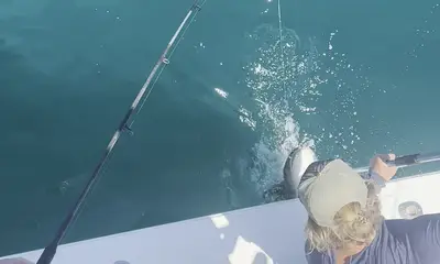 Nags Head Report Video 0