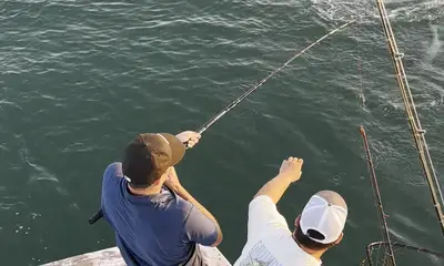 Waterford Report Video 3