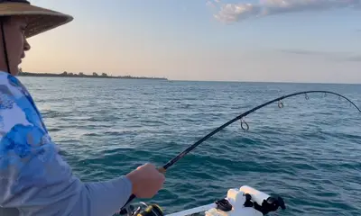 Sarasota Report Video 0