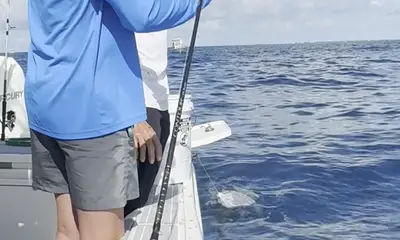 Could not have been better!