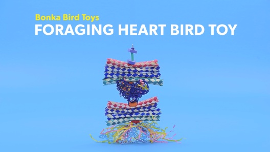 Play Video: Learn More About Bonka Bird Toys From Our Team of Experts