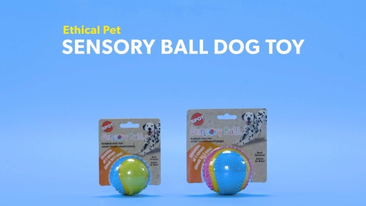 Ethical Pet Spot Sensory Ball 3.25 inch Colorful Rubber Squeaker