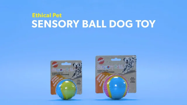 SPOT Ethical Pets Sensory Ball Dog Toy 