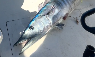 Great Fishing Charter